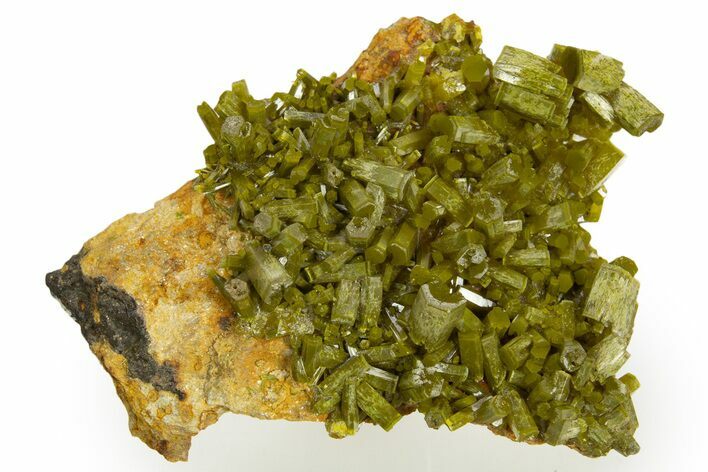 Lustrous Forest-Green Pyromorphite Crystal Cluster - China #330099